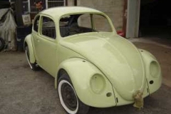 67_beetle_04