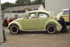 67_beetle_05