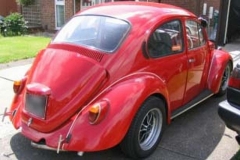 beetle_04_01