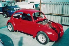 beetle_04_04